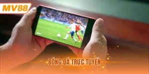 Bóng đá trực tuyến