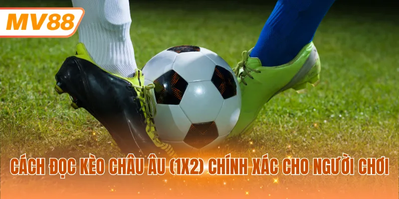 Cách đọc kèo châu ÂU (1X2) chính xác cho người chơi